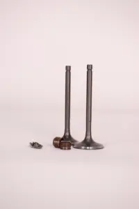 VALVULA ADMISION/ESCAPE, KIT PARA MOTOFURGÓN 300CC