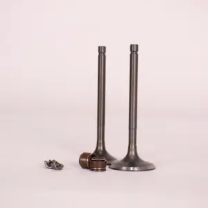 VALVULA ADMISION/ESCAPE, KIT PARA MOTOFURGÓN 300CC